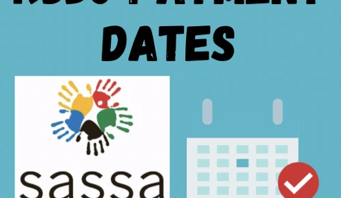 SASSA Check STATUS – ON LINE Application